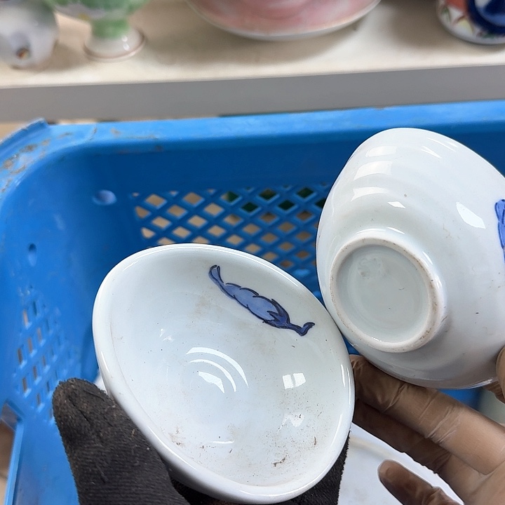 碗开播啦….开播啦