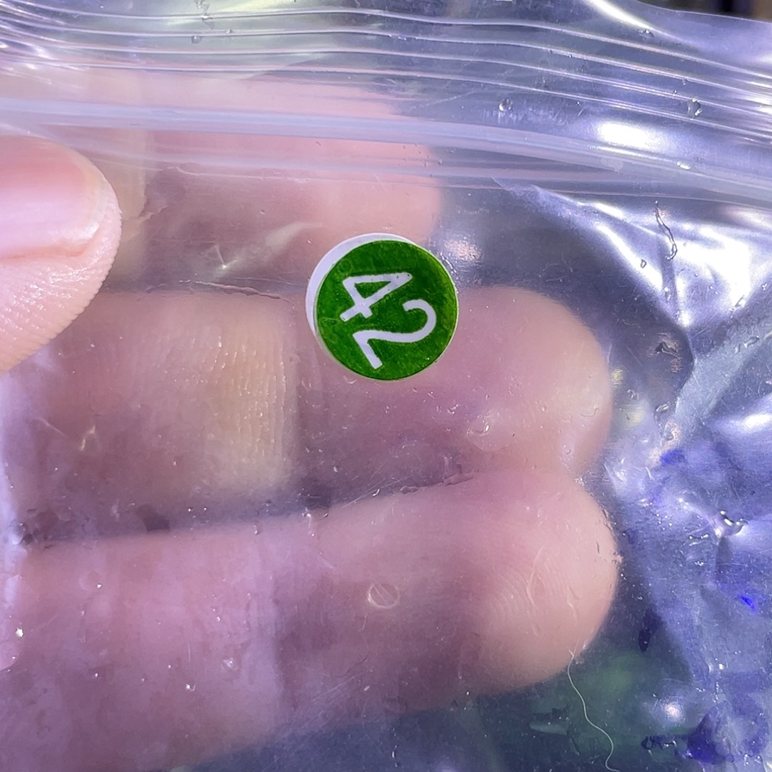 J***7颈饰未镶嵌发晶哈