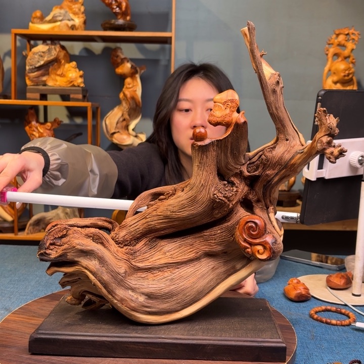 柏木（崖柏）关注一下