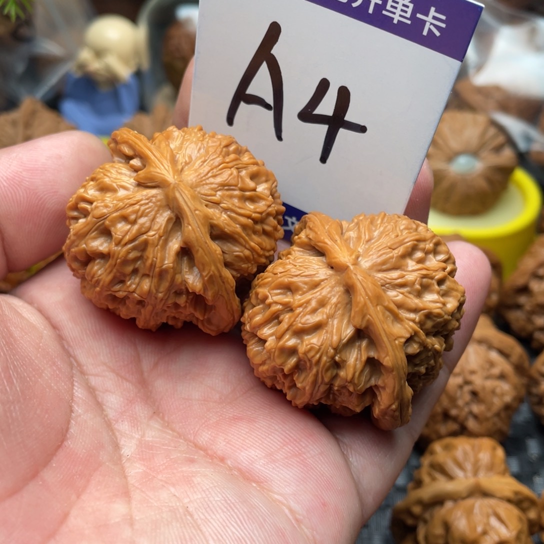 把件文玩核桃白狮子41尺