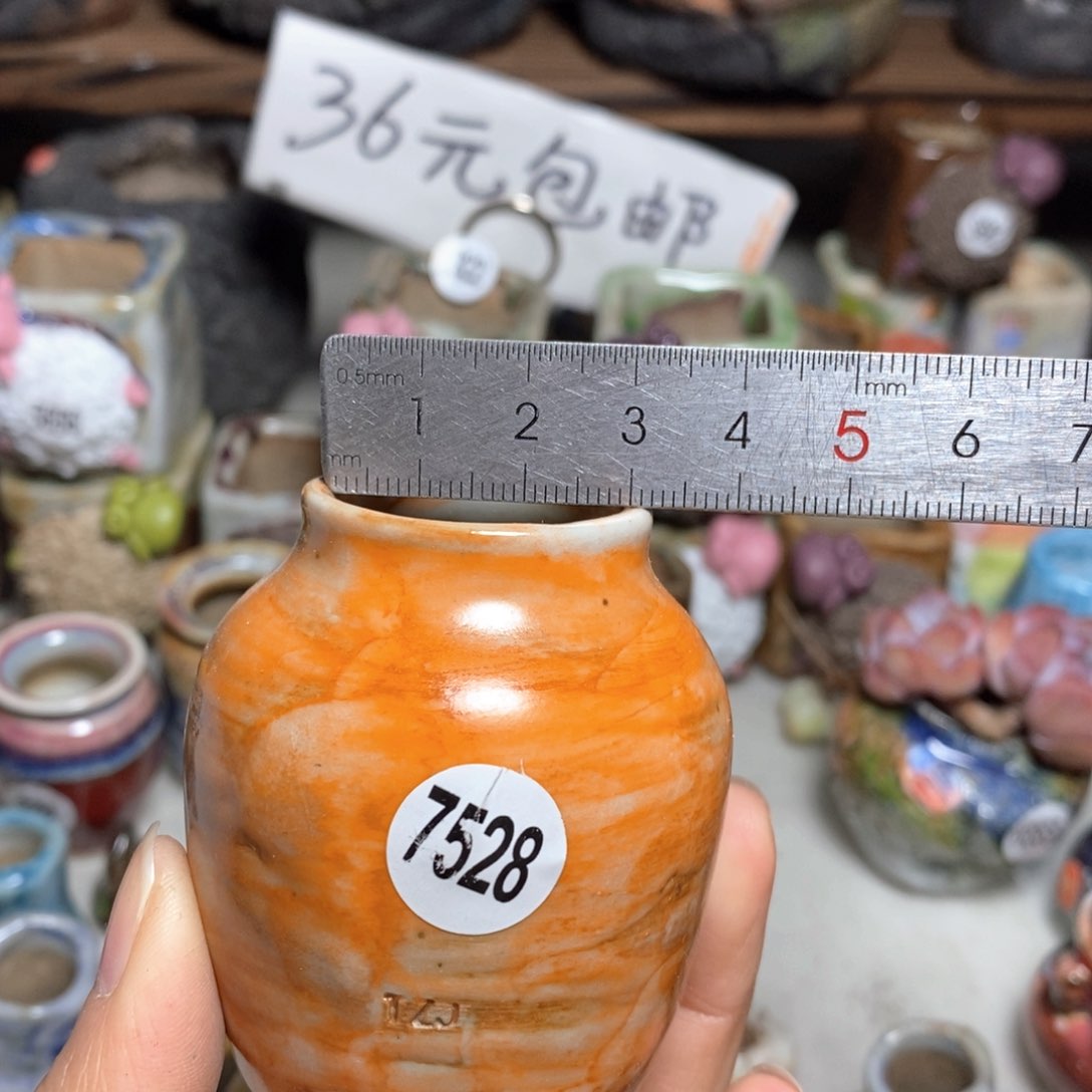 拍5送一个小礼物