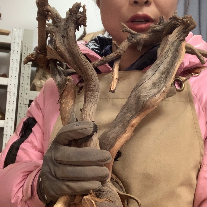 0***7木太行崖柏毛料板根