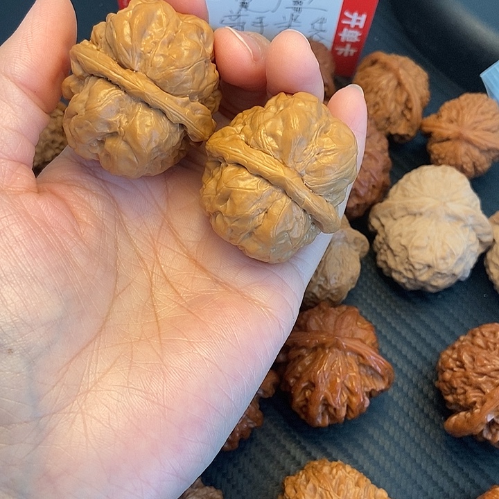 木质类38蛤麻。       