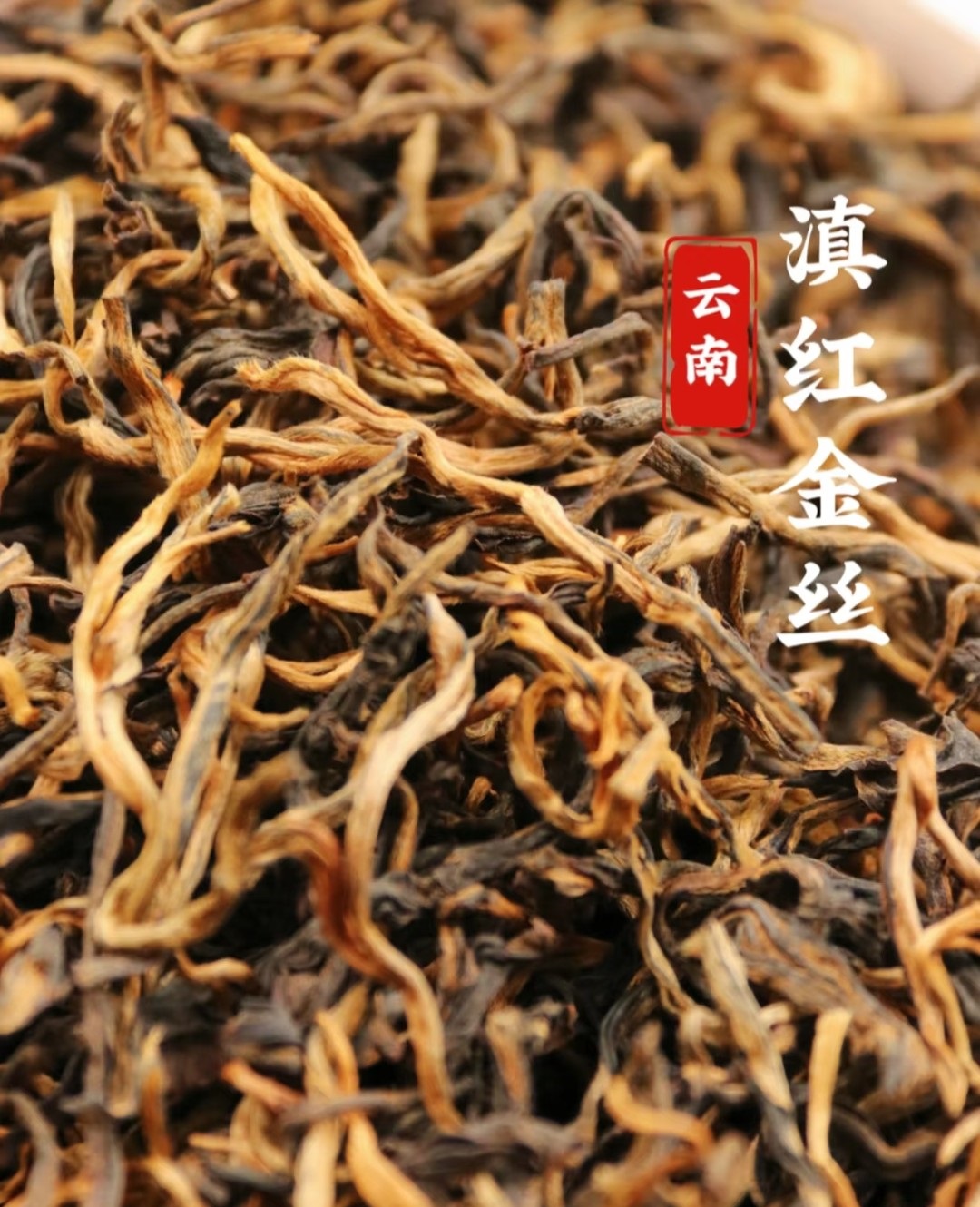 云南滇红茶糯香 金丝散茶大树茶