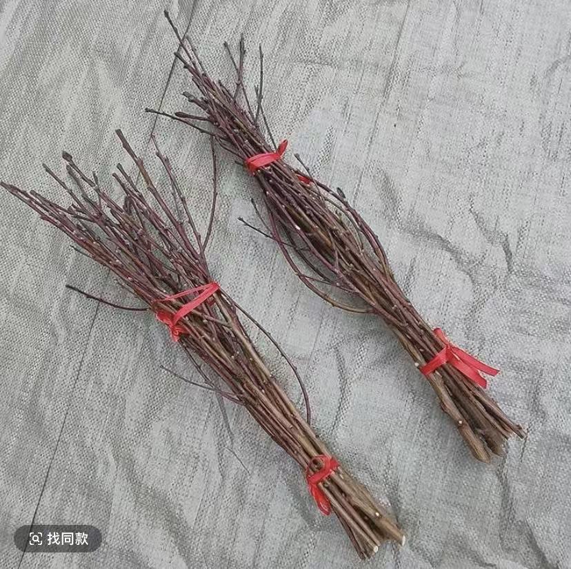 【一根】正宗桃树枝条桃木棍随身携带木质把件