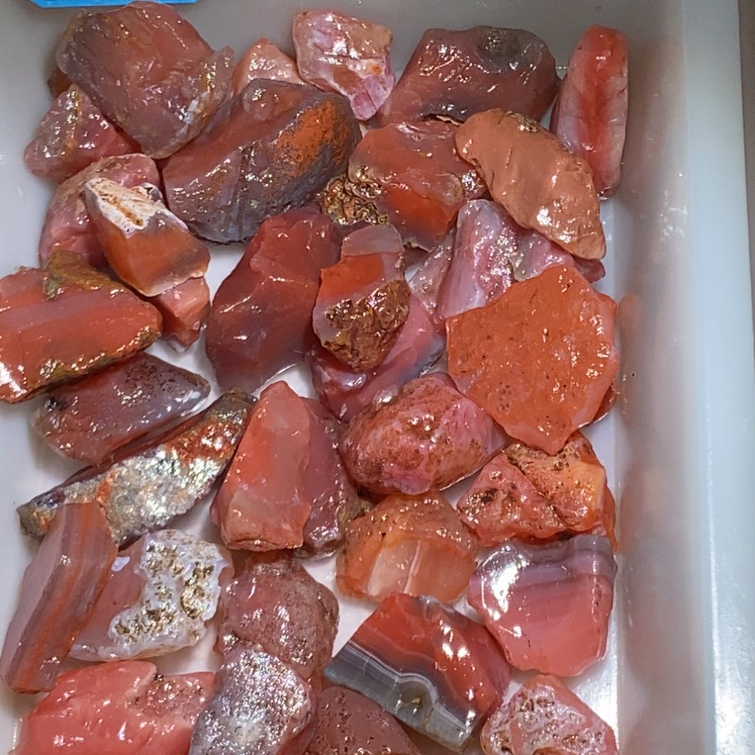 珊***石阿拉善红色的花盆石