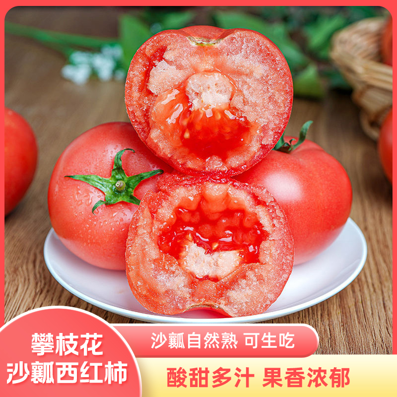 攀枝花露天沙瓤西红柿番茄生吃水果蔬菜普罗旺斯新鲜自然熟包邮