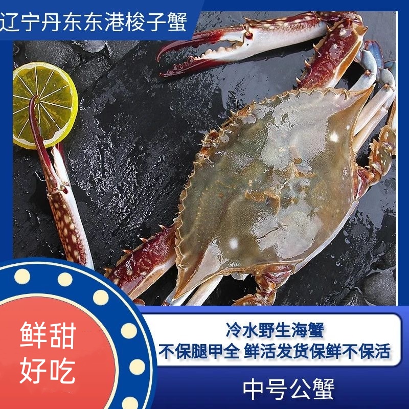 W【保鲜不保活】中号公蟹3两左右/只 3只左右/斤 3斤装不保腿甲全