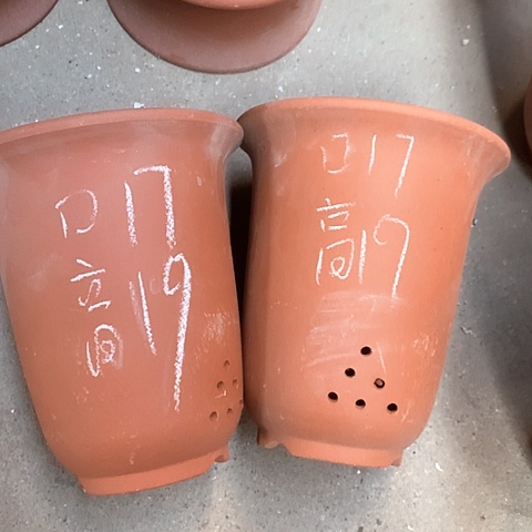 红陶紫砂的颜色很好看呀