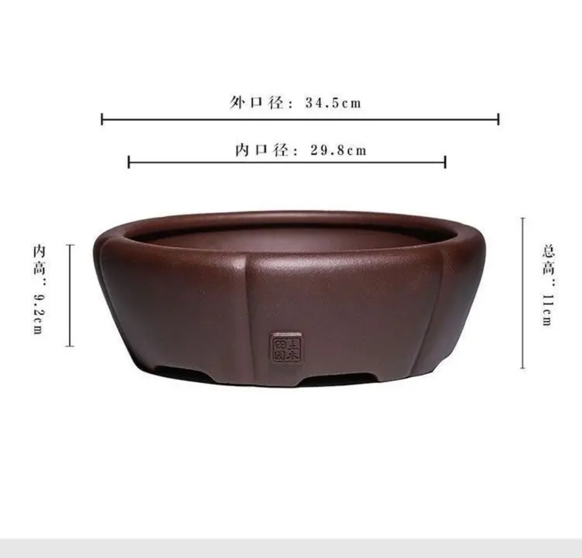 特大号圆盆紫砂中国风老桩君子兰蝴蝶兰盆栽用盆