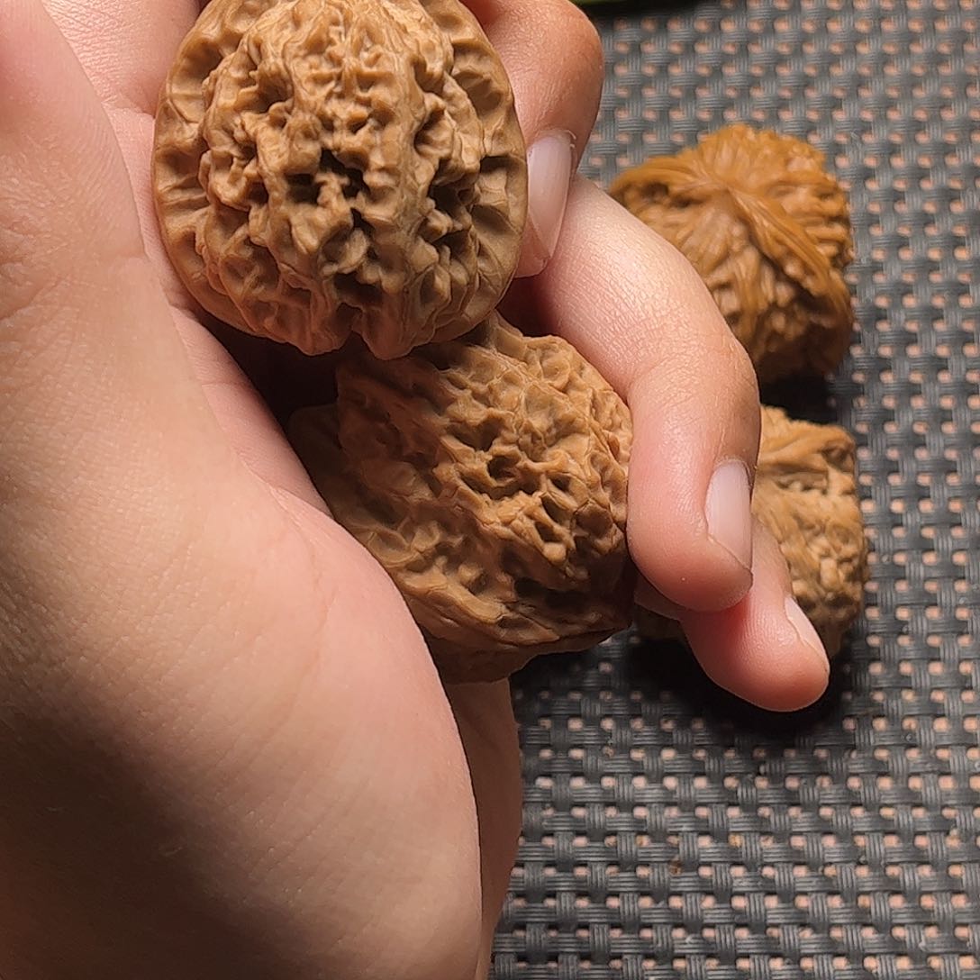 文玩核桃把件是****户野生