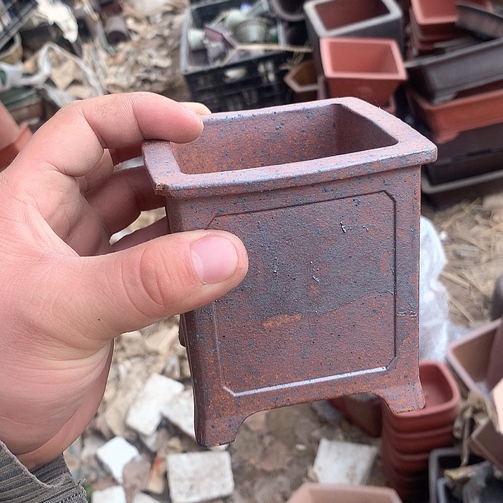 紫砂我们也有一个特别优秀教师