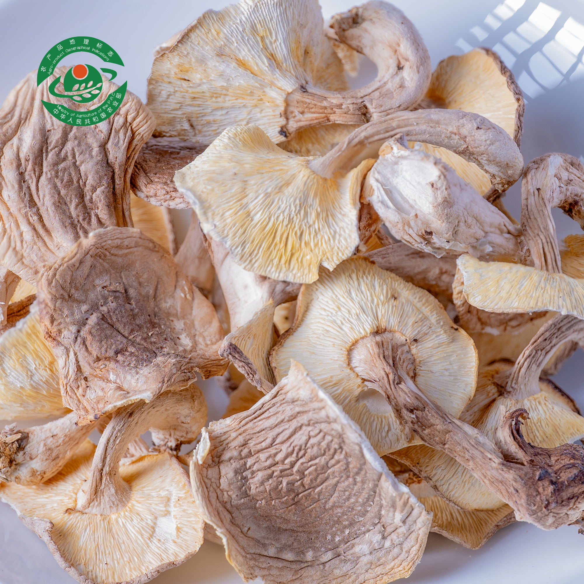 菌百道小康家头茬香菇202512月（碎菇破菇）炖汤炒香菇实惠高山香菇