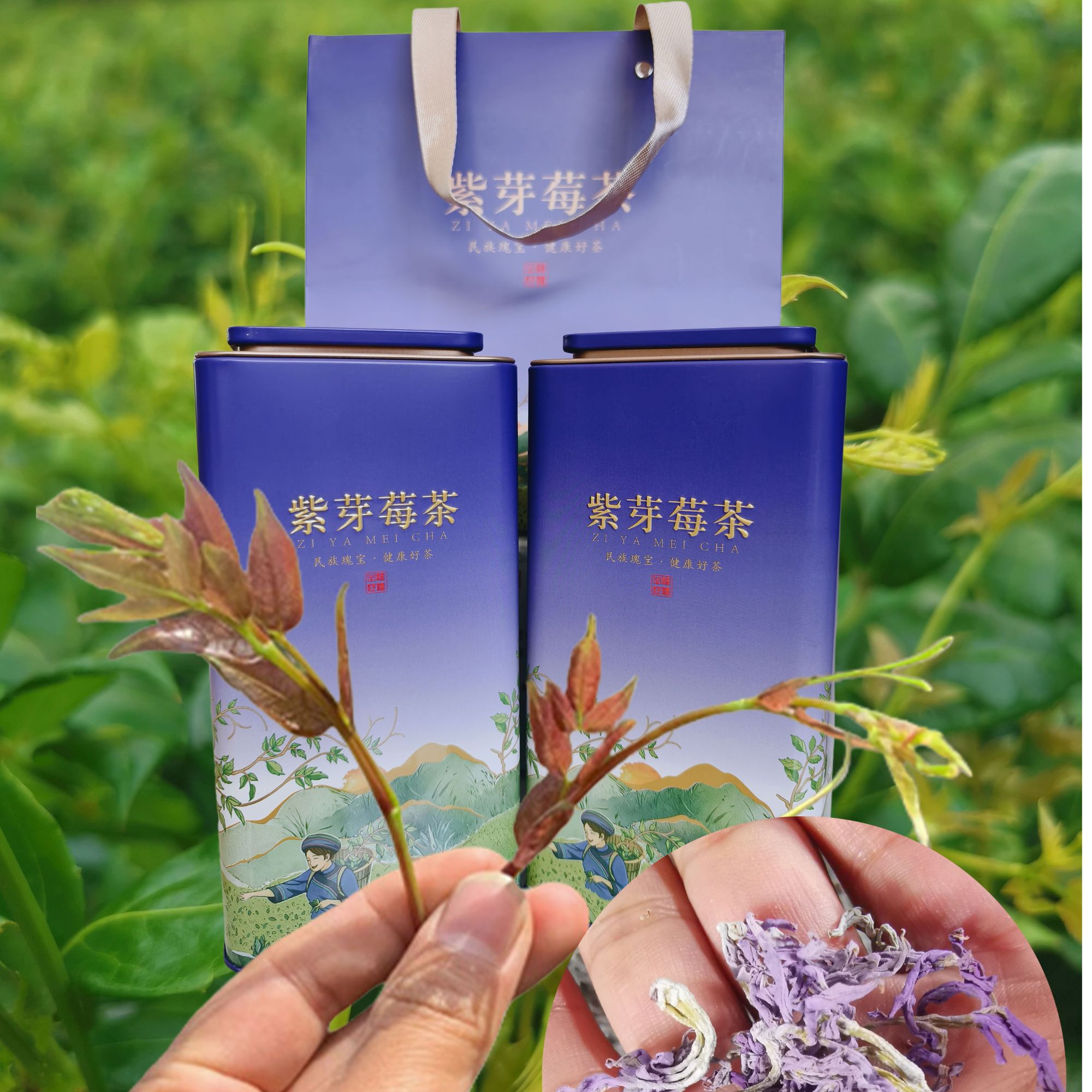 湘莓丽张家界紫金芽头高含量（50%-60%花青素）莓茶野生藤茶