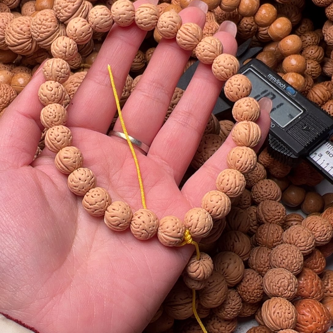 11尺寸野生小奶豆桃核