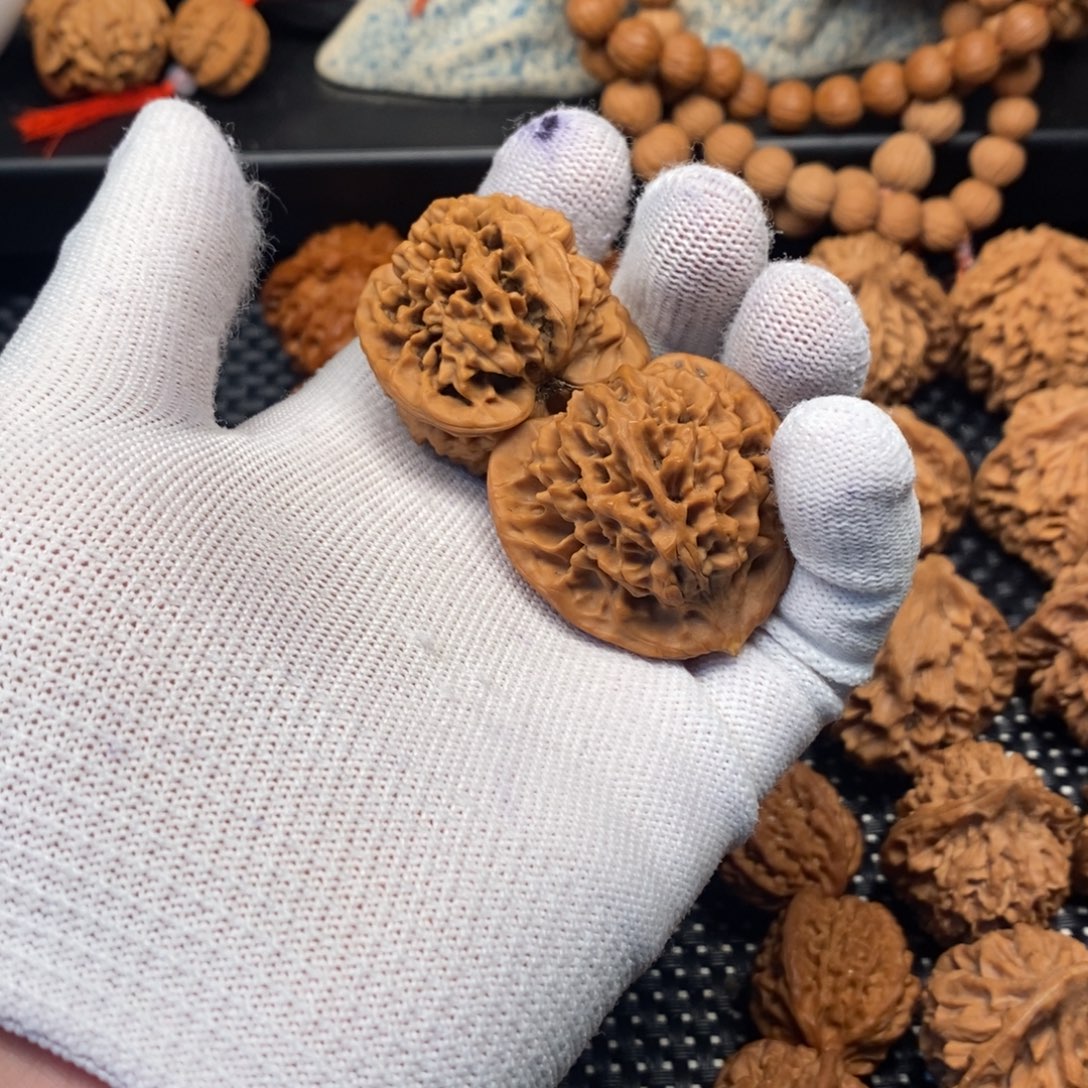 修***性我是一位Shaojie Wang my dad