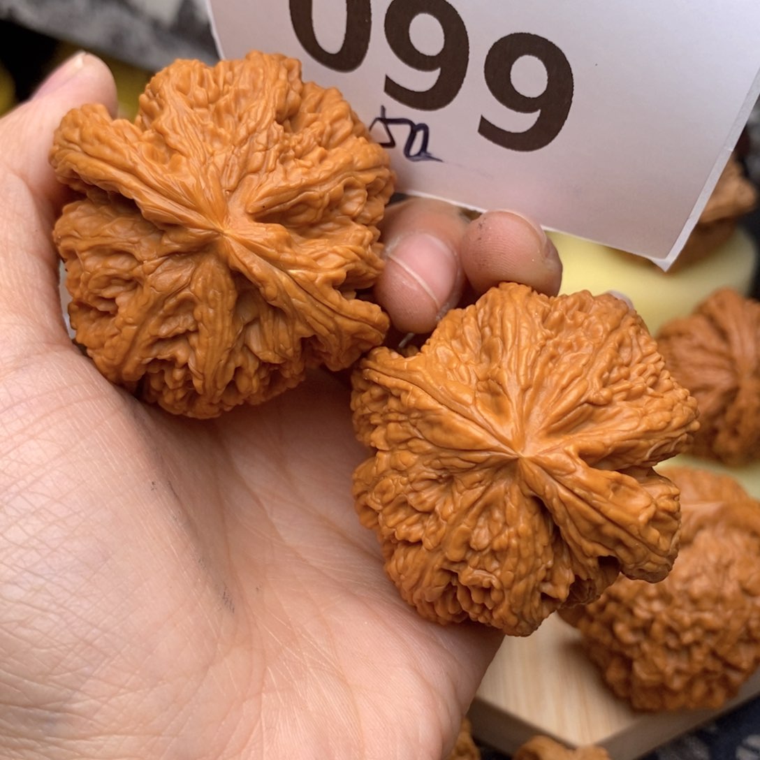 文玩核桃把件099号50粗筋
