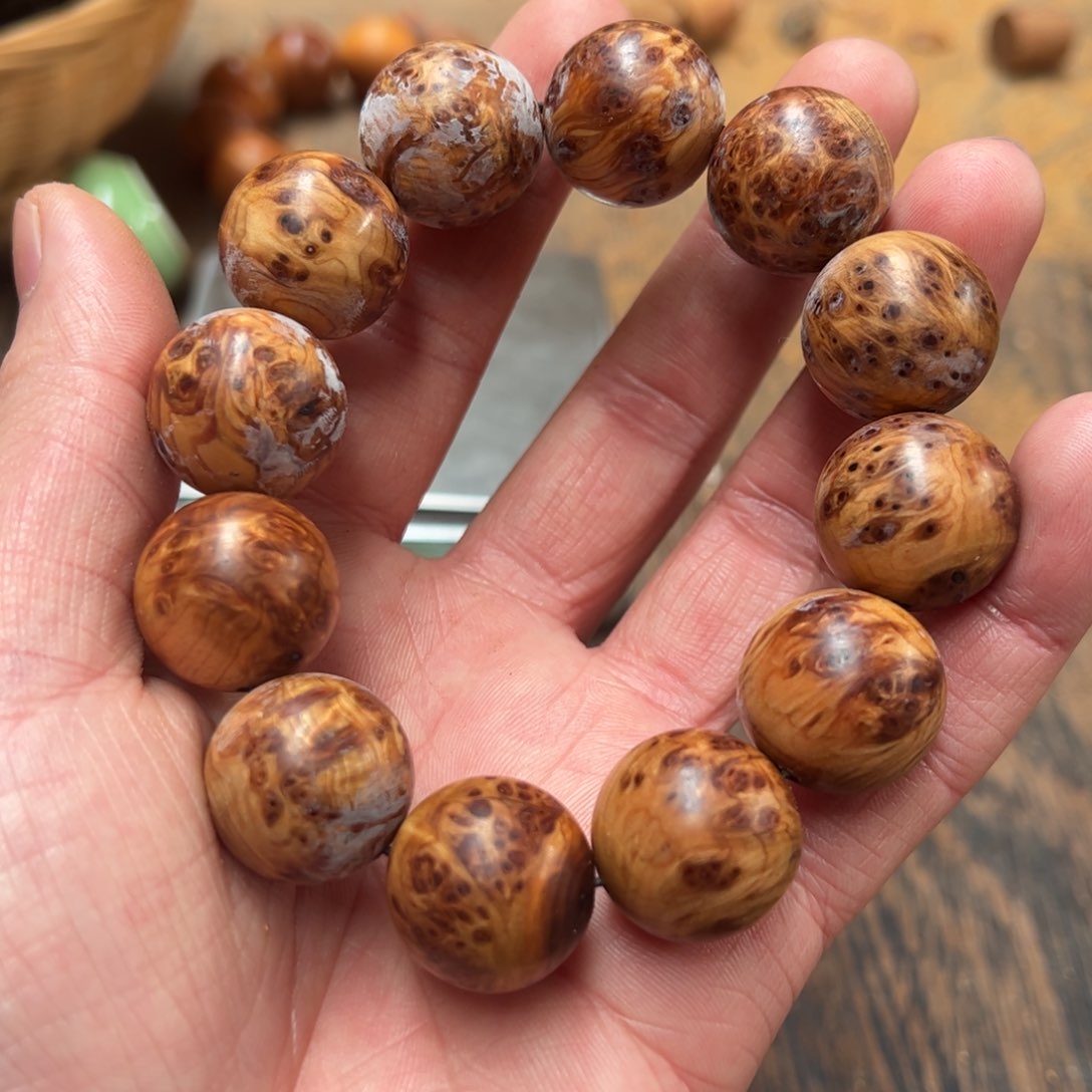 太行崖柏陈化太行