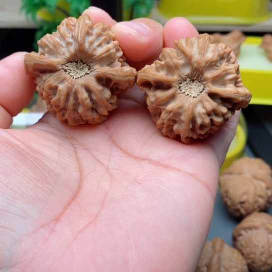 把件文玩核桃龙呢涧