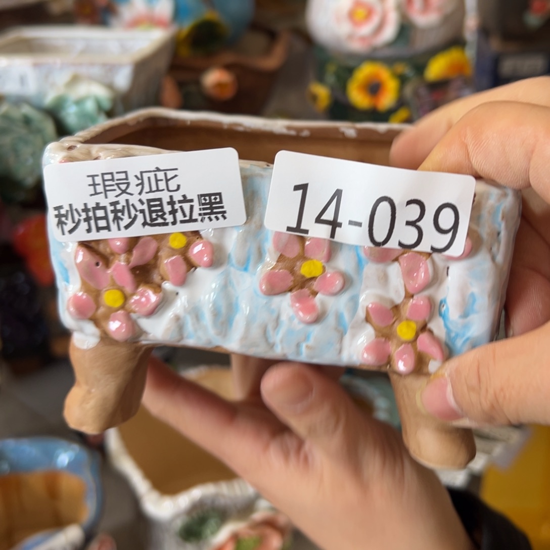 多肉花盆，满20米发货爱退款拉黑