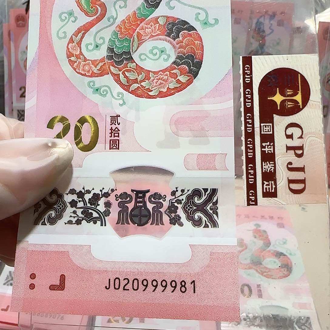 纸020999981。。。。朦胧狮子身