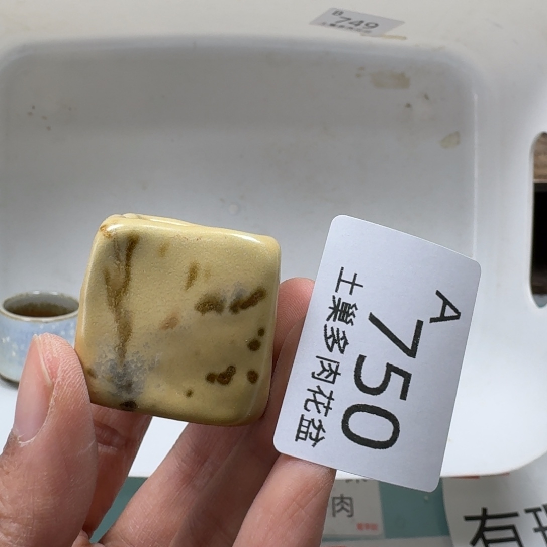 陶瓷艺术品设计与制作
