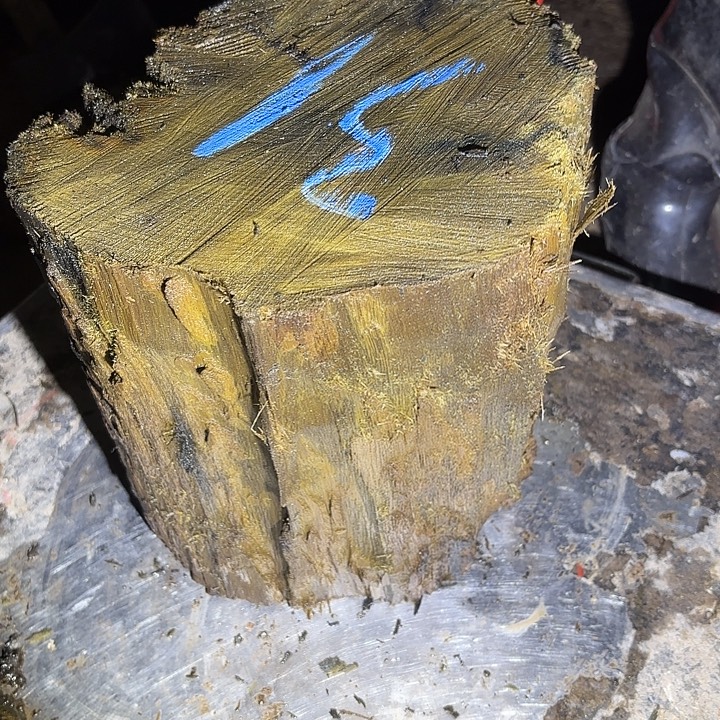 用***2金丝楠啊啊啊啊啊啊