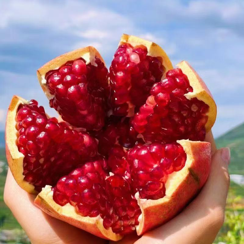 正宗会理突尼斯软籽石榴整箱5/9斤爆甜多汁新鲜应季水果坏果包赔A