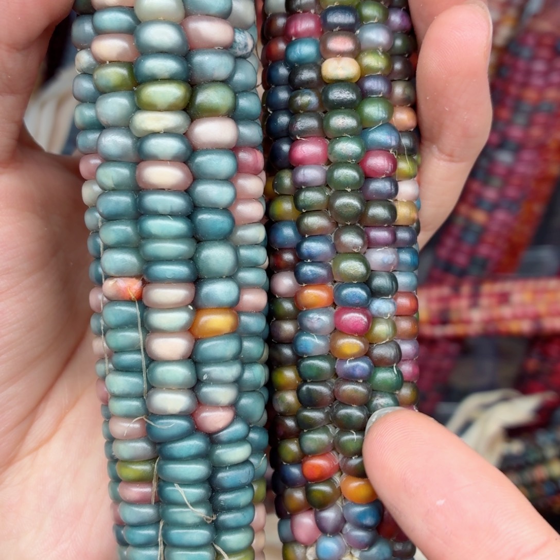 爱***2吊坠白玉菩提文玩精品文玩精品