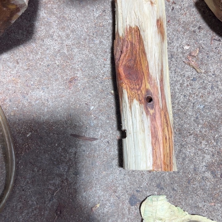 把件黄花梨/降香黄檀