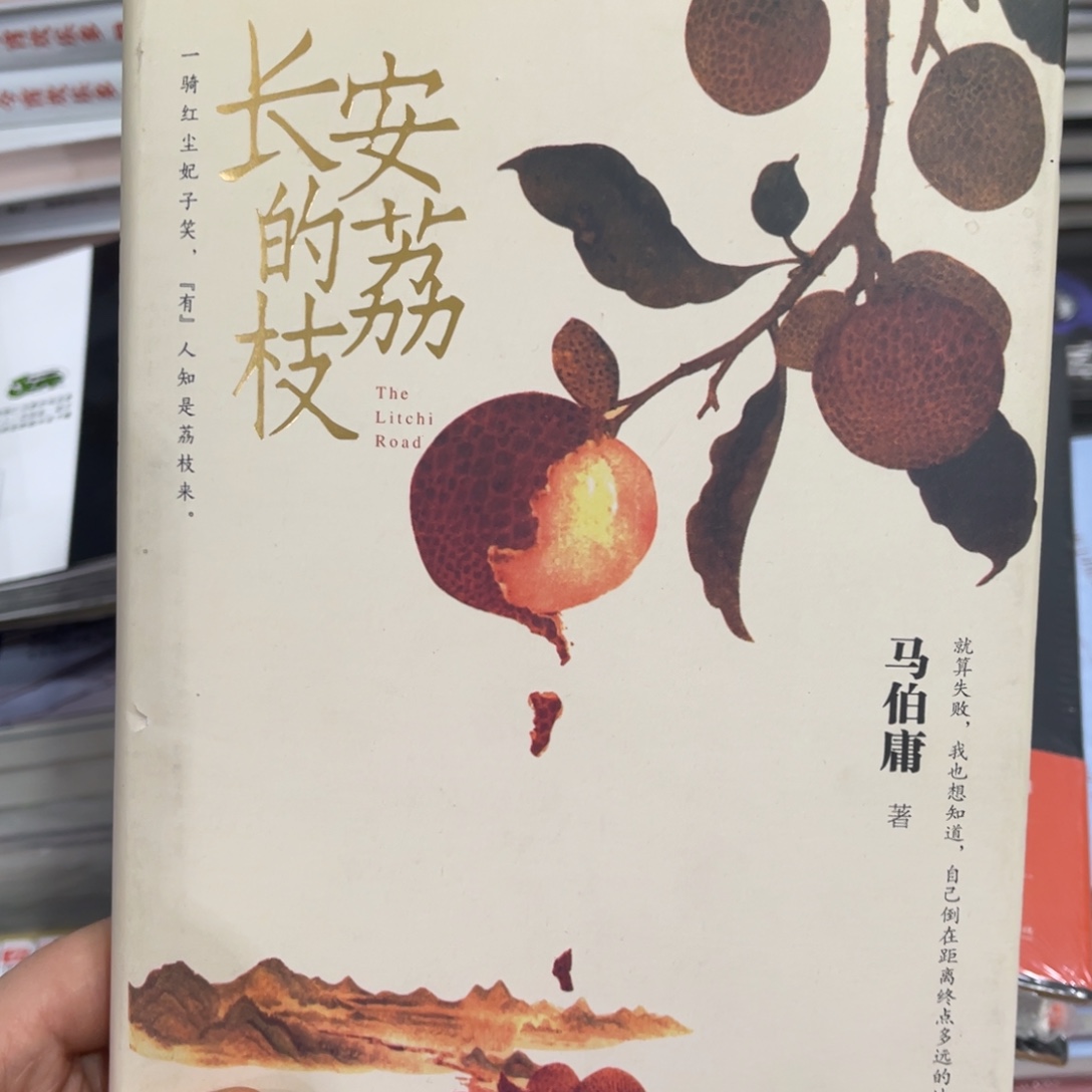 长安的荔枝精装一个