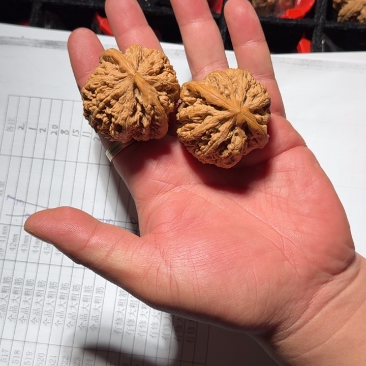 把件文玩核桃141号大粗筋45mm