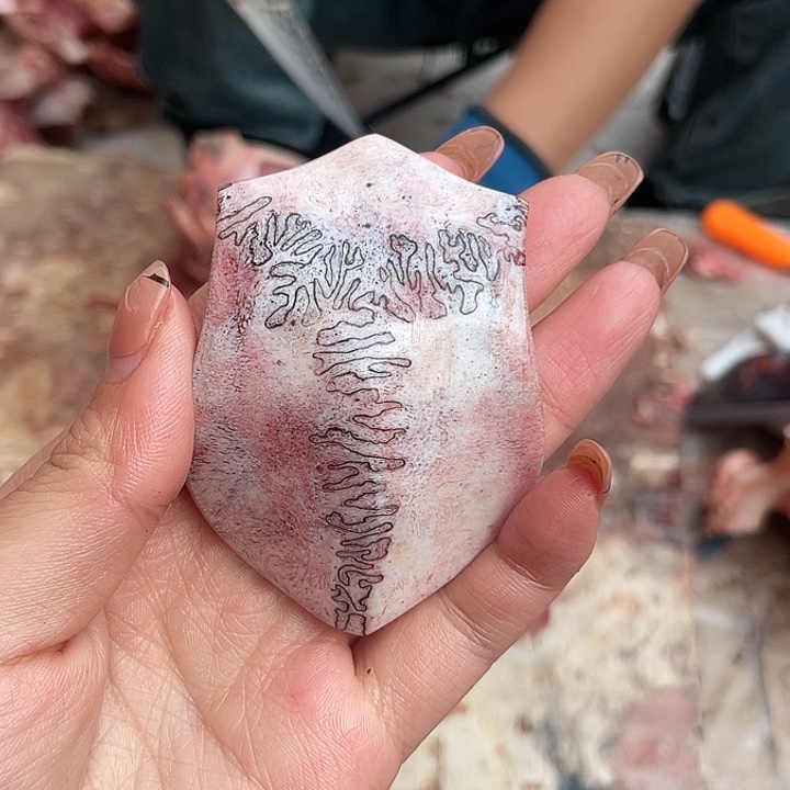 赛***克养殖鹿骨三界牌子