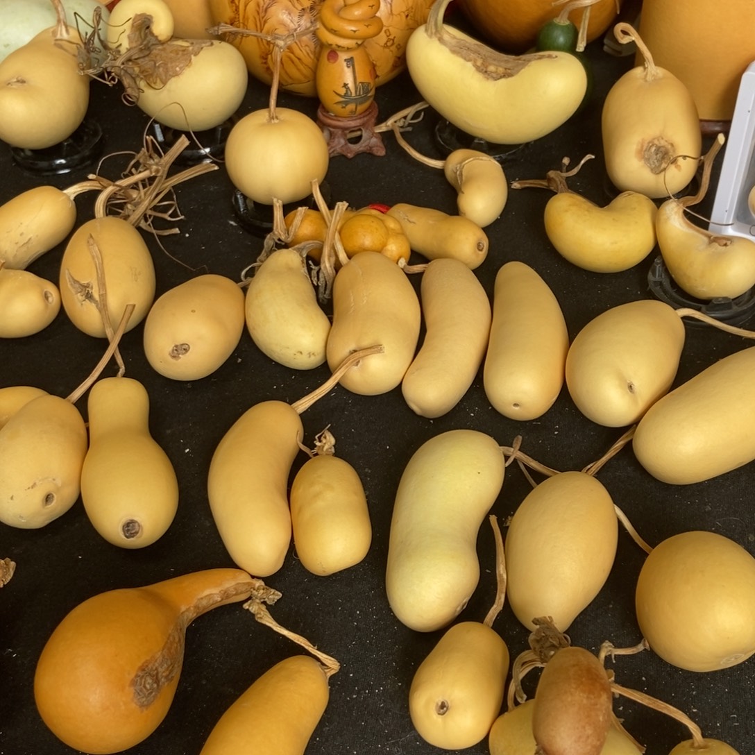 ****！木葫芦葫芦葫芦娃