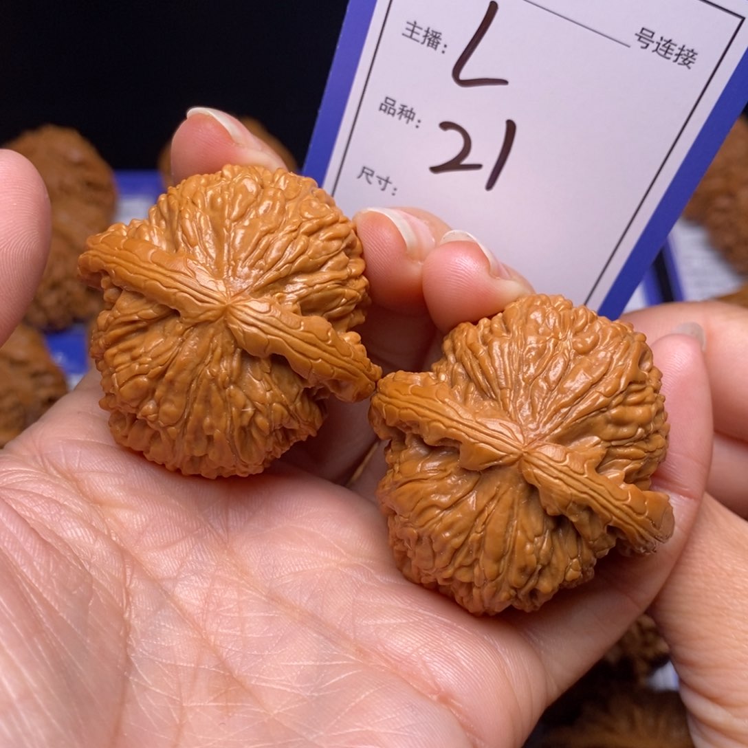 文玩核桃把件42白狮子21