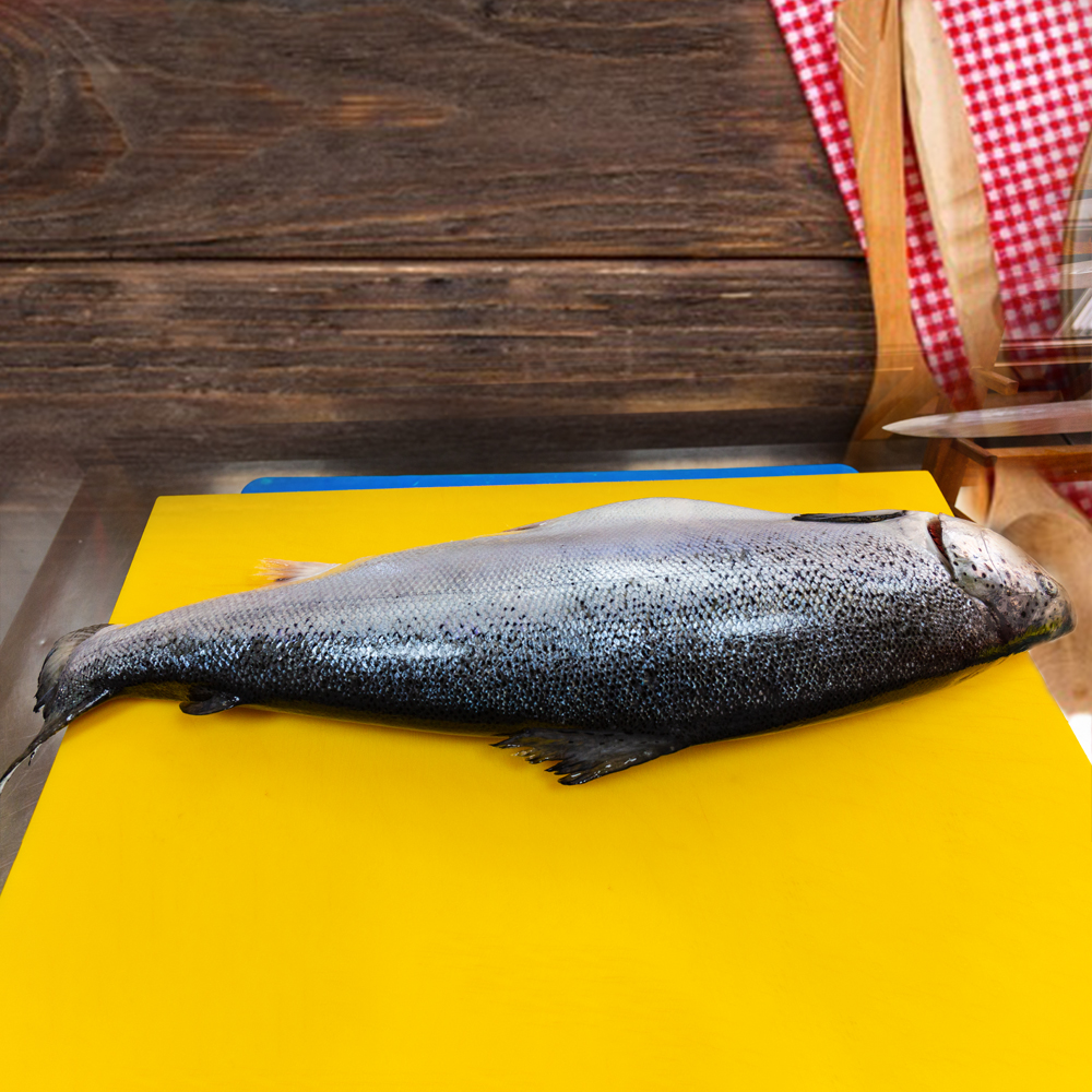 补差价运费订货专用链接