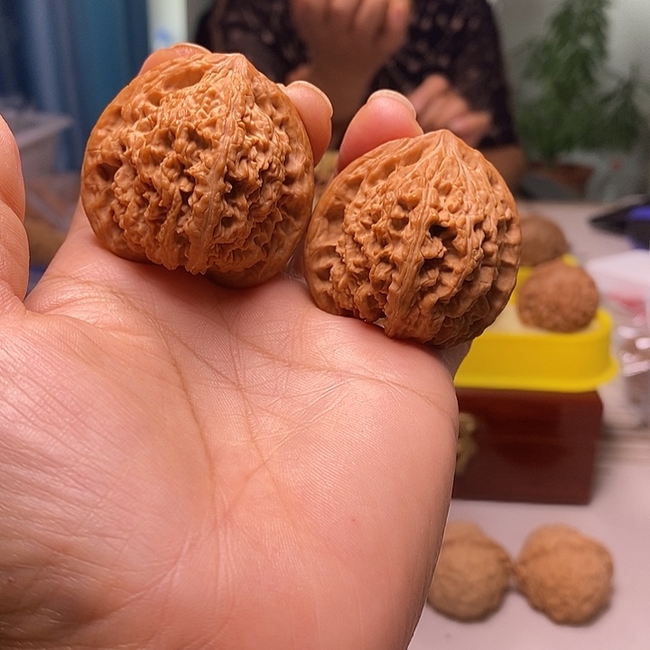 核桃43尺寸的无名核桃骨质硬
