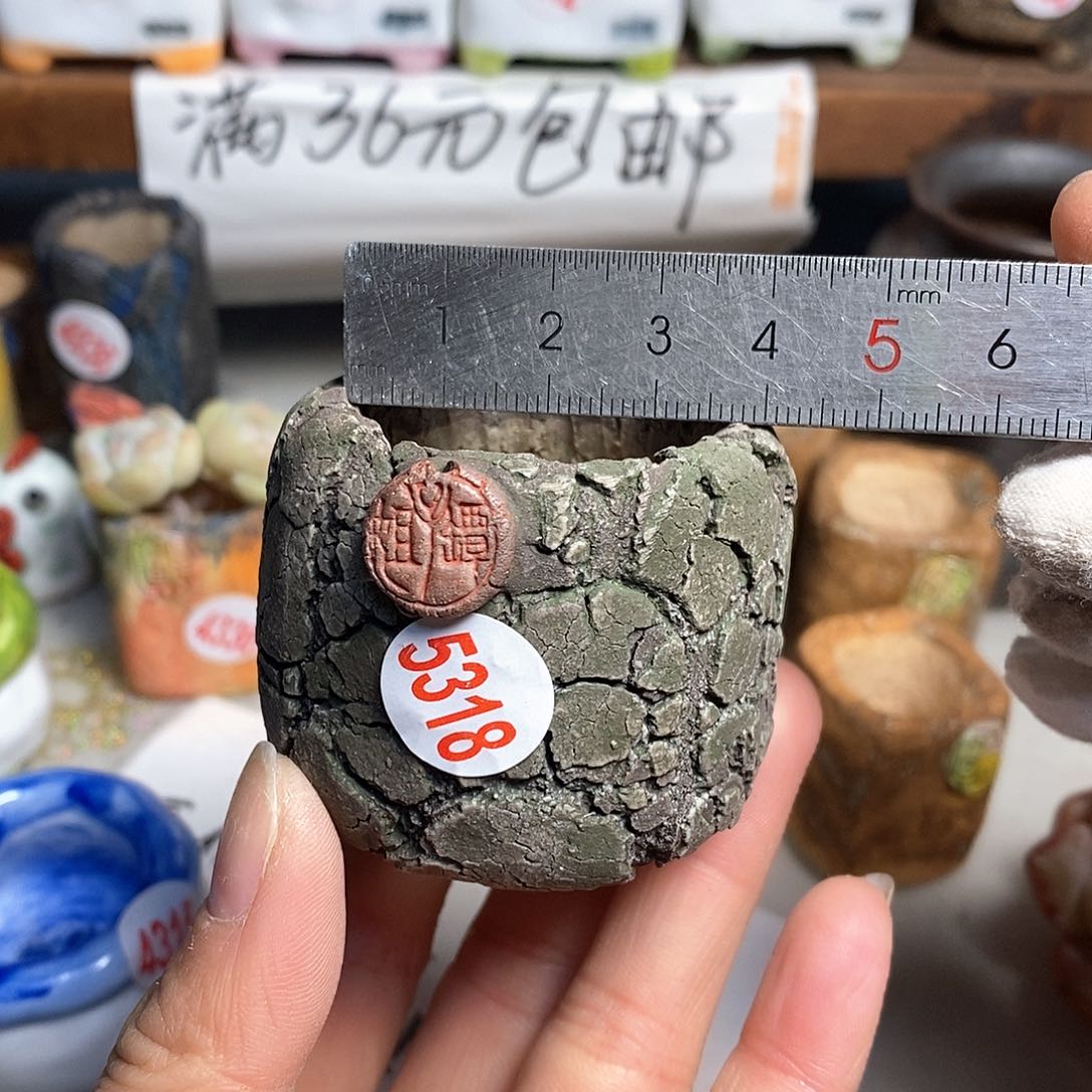 红陶拍5送一个小