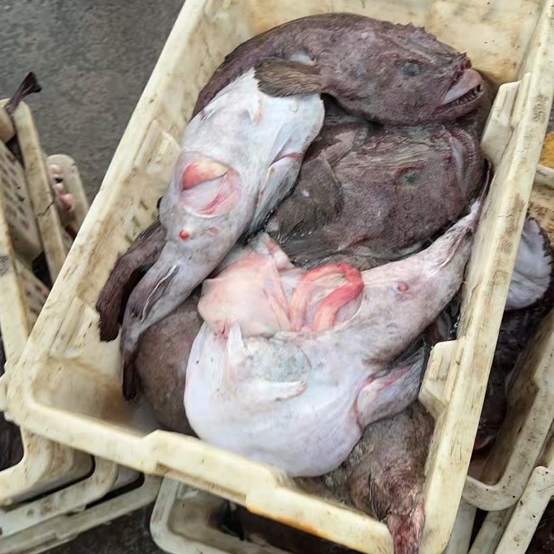 特产安康鱼冷冻发货包邮