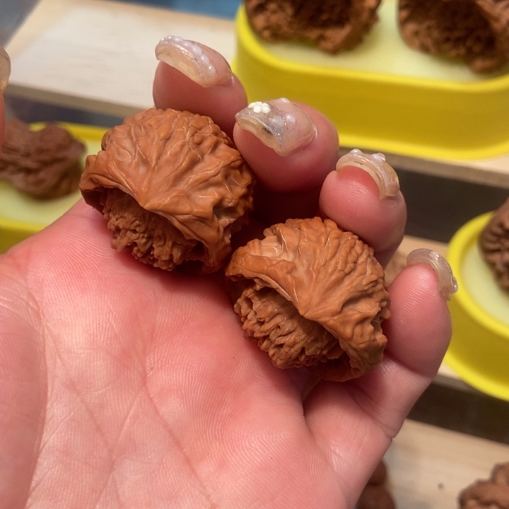 官方网站发布消息显示