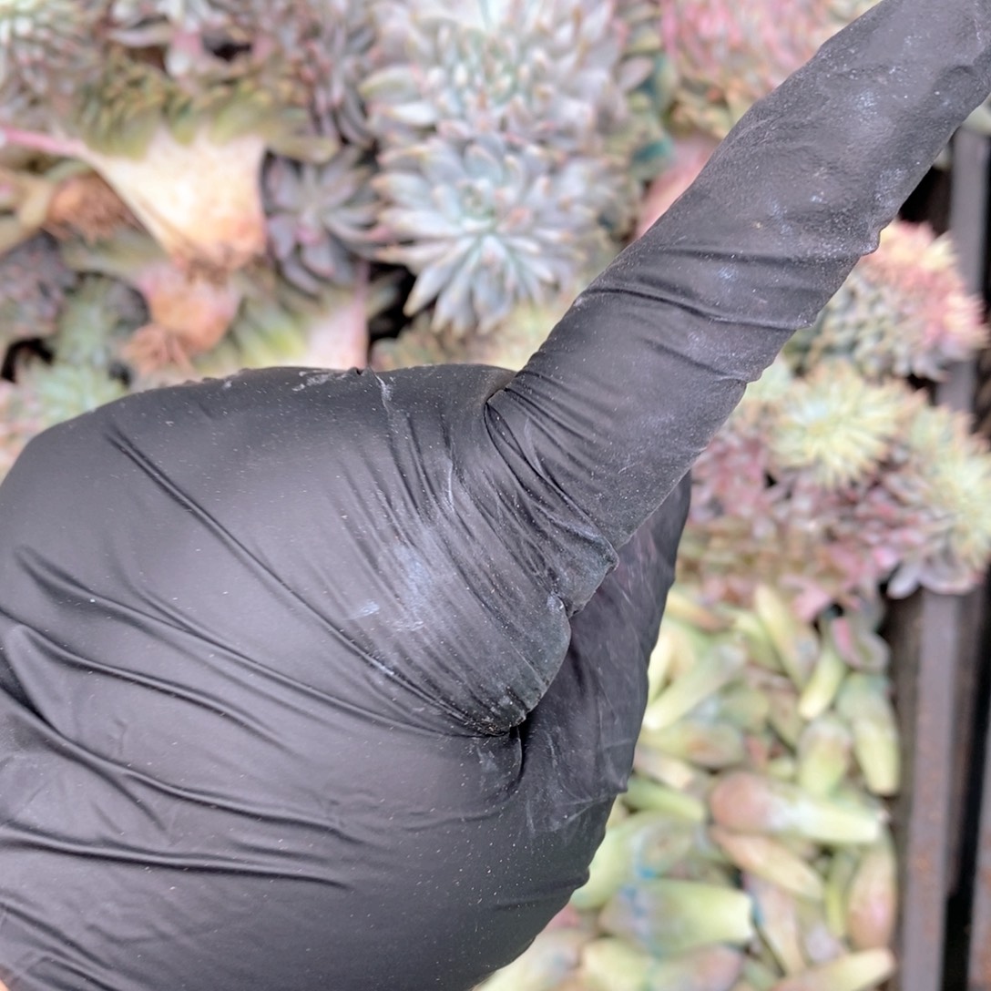 ****芽随机一颗呀妈妈呀呀