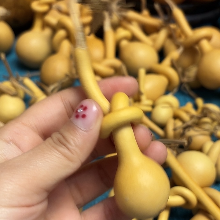 习***然一把葫芦便宜漏了