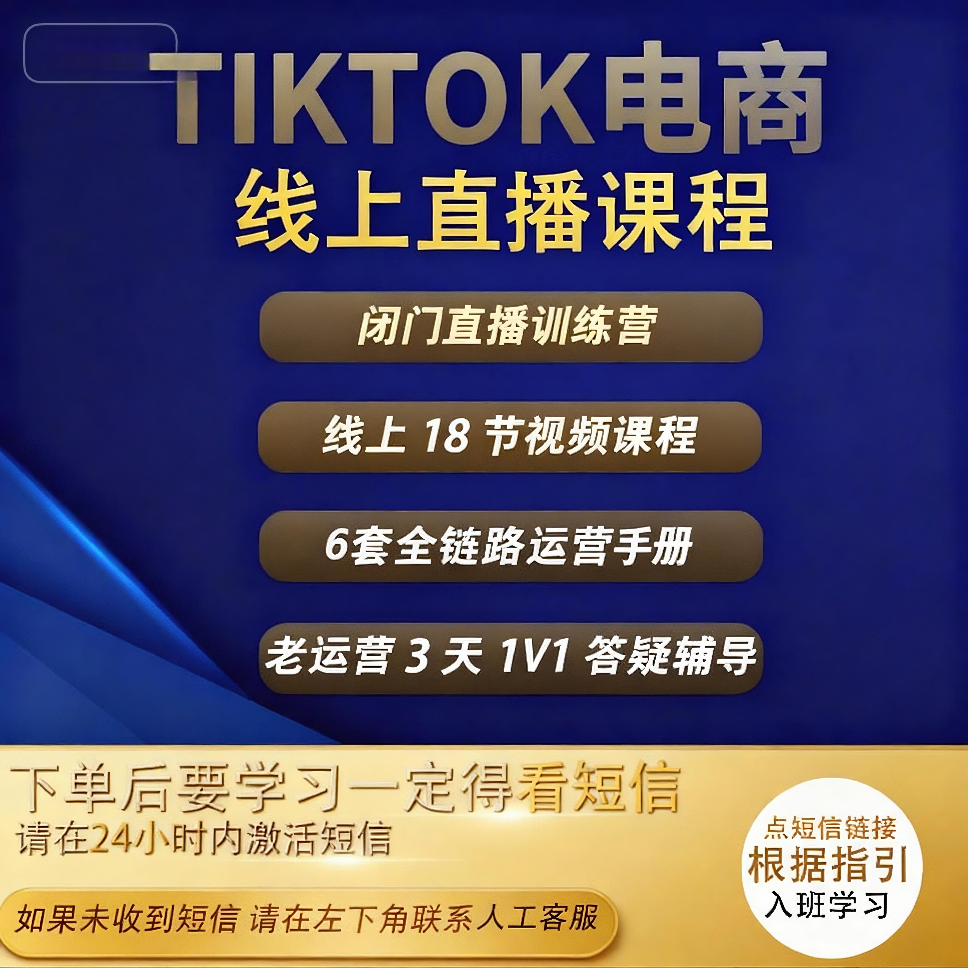 （Hb专属）TikTok跨境0-1出海训练营下单后注意查看短信）