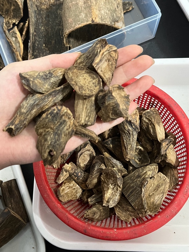 树丁多产地原料薰香好味道香薰香料