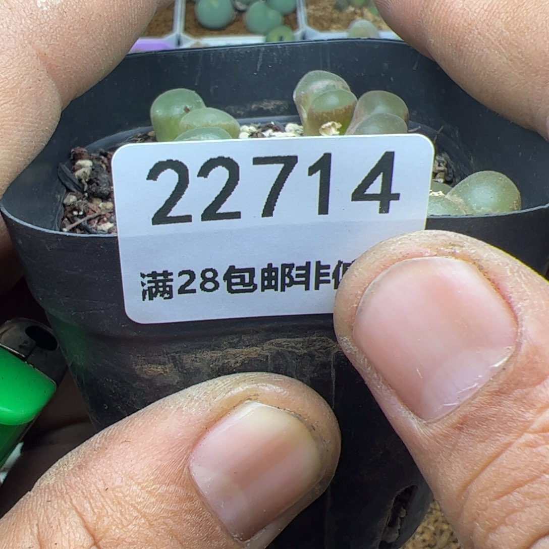 佰**柜大家过年好22714