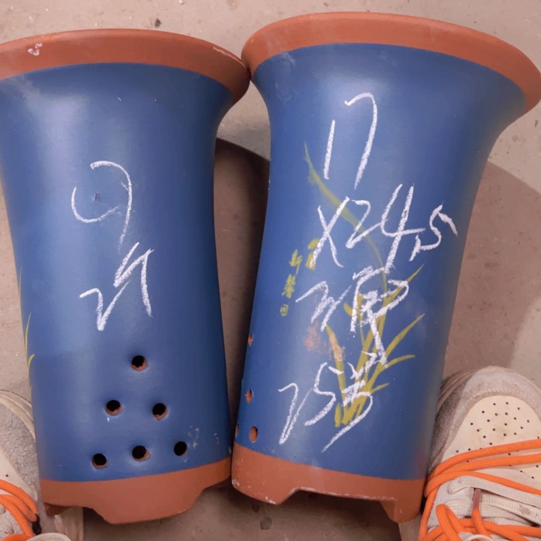 紫砂25！！！！！！！………………………………