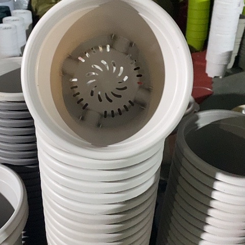 树脂四季2号无托灰白6个