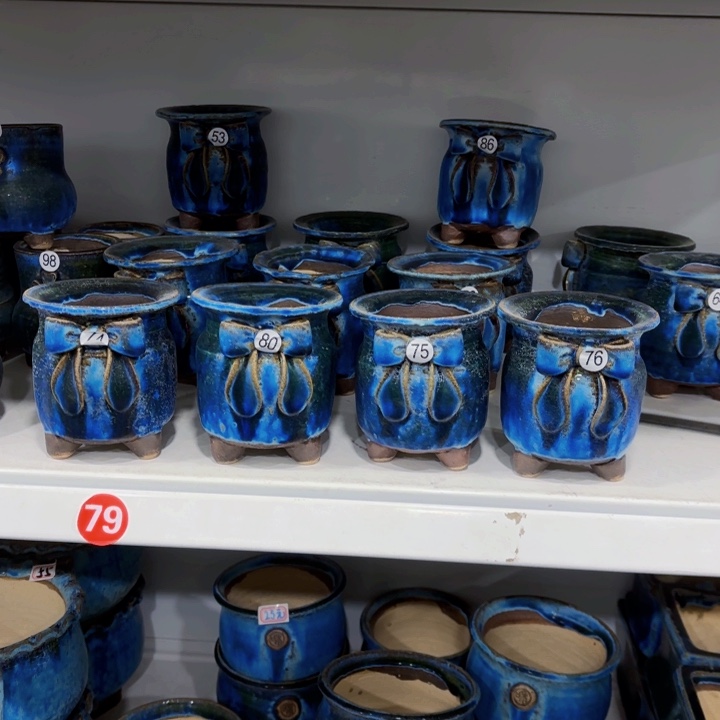 红陶༺***༻内敛的人是不可能