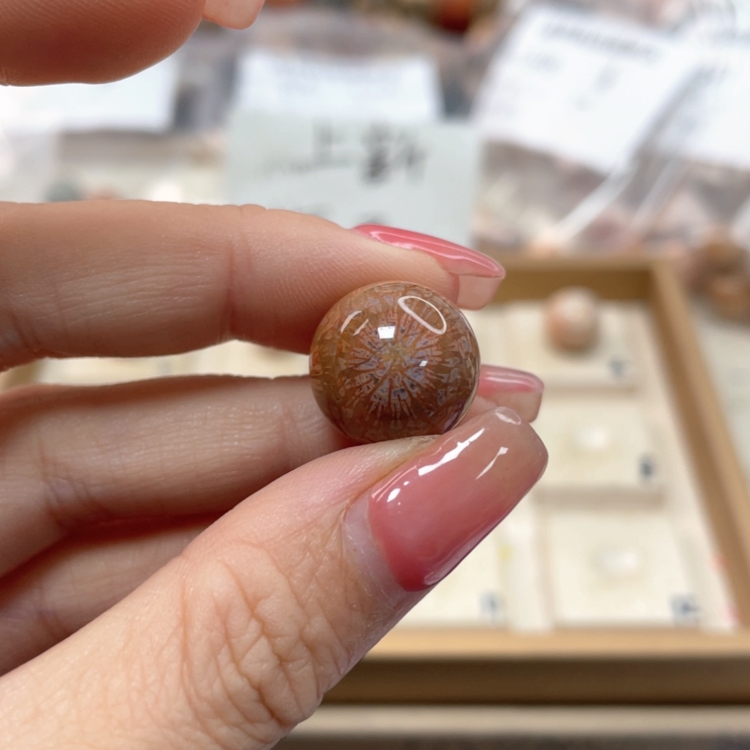 未镶嵌手链硅化珊瑚（珊瑚玉）抖**转573