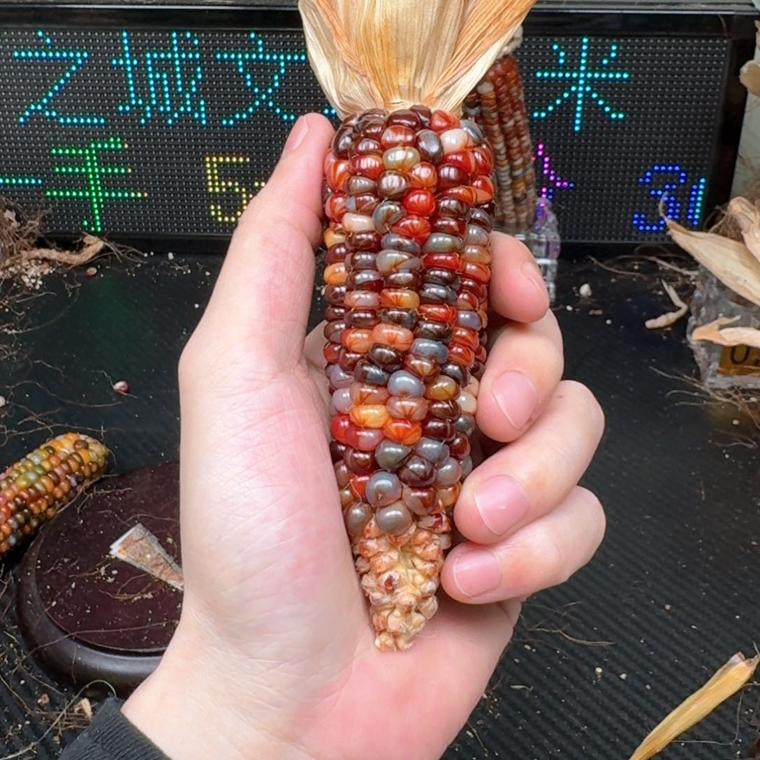 柏香籽/百香籽吊坠微***）